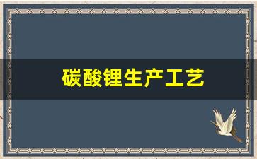 碳酸锂生产工艺(碳酸锂生产工艺占比)_https://www.qldgs.com_原油期货_第1张