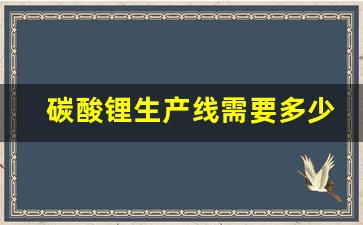 碳酸锂生产线需要多少钱(碳酸锂生产设备多少钱)_https://www.dcjwmf.com_郑商所_第1张