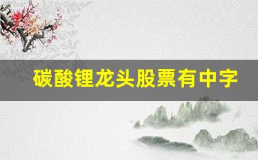 碳酸锂龙头股票有中字头吗(碳酸锂龙头股票有中字头吗知乎)_https://www.dcjwmf.com_广期所_第1张