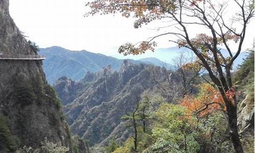 神农架旅游攻略自驾游一日游_神农架旅游景点攻略一日游