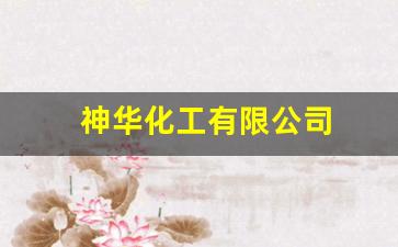 神华化工有限公司(神华化工有限公司pom)_https://www.wguangz.com_上期所_第1张