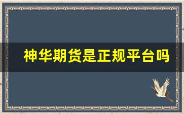 神华期货是正规平台吗(神华期货是正规公司吗)_https://www.wguangz.com_郑商所_第1张