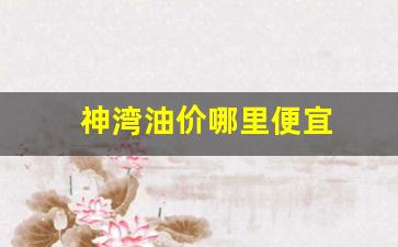 神湾油价哪里便宜_神湾油价哪里便宜点