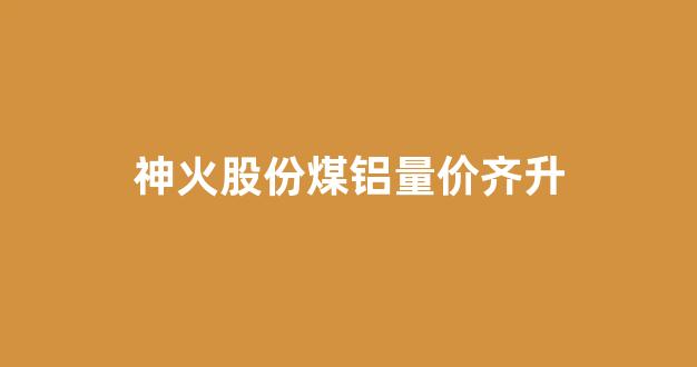 神火股份煤铝量价齐升(神火股份铝土矿)_https://www.wanyuyiyao.com_深交所_第1张