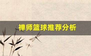 禅师篮球推荐分析-禅师篮球推荐分析