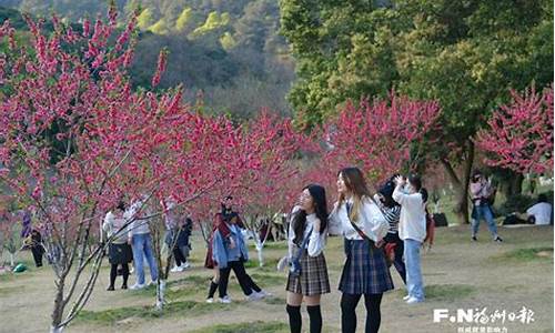 福州森林公园桃花-福州森林公园桃花花期