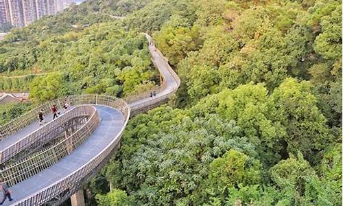 福建省福州市金牛山公园-福州金牛山公园是体育公园吗