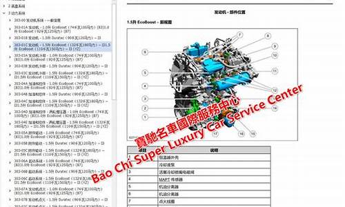 福特车查保养记录_福特汽车保养记录