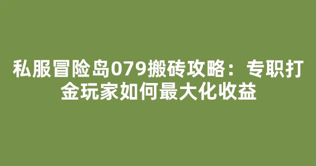 私服冒险岛079搬砖攻略：专职打金玩家如何最大化收益