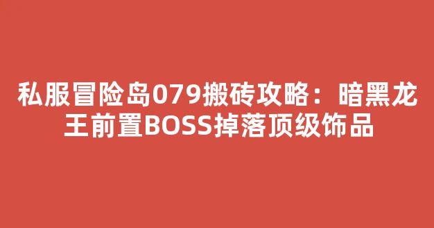 私服冒险岛079搬砖攻略：暗黑龙王前置BOSS掉落顶级饰品-第1张图片-冒险岛私服发布网