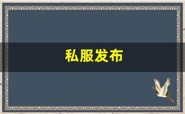 私服发布(手游发布网) (8)
