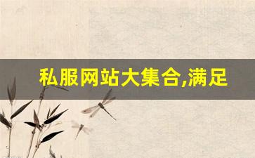刚开一秒sf:私服网站大集合,满足你对不同游戏版本的需求!