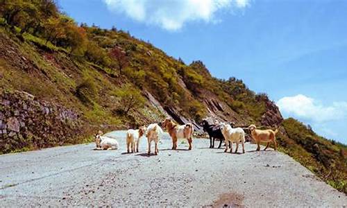 重庆秋季景点推荐-秋季旅游攻略重庆路线