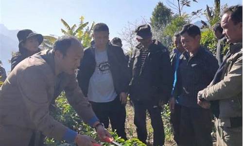 种植培训班_种植培训