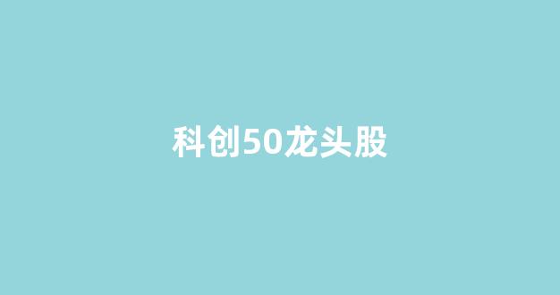 科创50龙头股(科技股票的十大龙头股)_https://www.heiljjianzu.com_北交所_第1张