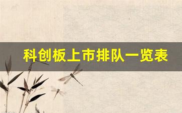 科创板上市排队一览表2023(科创板排队上市名单)_https://www.gzyhshgzzx.com_郑商所_第1张