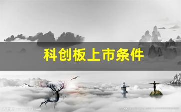科创板上市条件(科技公司上市的条件和要求)_https://www.huakunhengjia.com_金融资讯_第1张