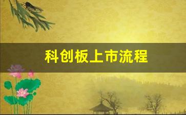 科创板上市流程(科创板上市流程及步骤时间)_https://www.gzyhshgzzx.com_上期能源_第1张