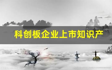 科创板企业上市知识产权指南(科创板知识产权价值排行榜)_https://www.heiljjianzu.com_北交所_第1张
