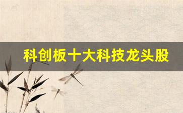 科创板十大科技龙头股票(科创板行业龙头)_https://www.gzyhshgzzx.com_郑商所_第1张