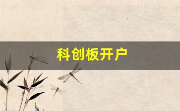 科创板开户(科创板开户需要什么条件)_https://www.heiljjianzu.com_科创板_第1张