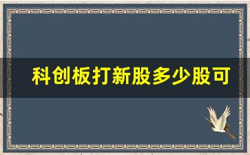 科创板打新股多少股可以买入(科创板打新股多少股可以买入股票)_https://www.syklpowerbike.com_创业板_第1张