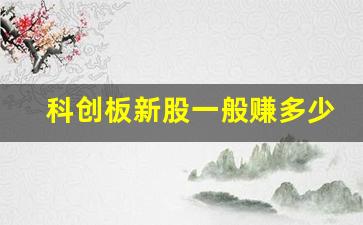 科创板新股一般赚多少(科创板新股上市能赚多少)_https://www.luoxuangg888.com_北交所_第1张