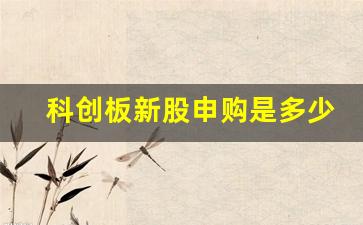 科创板新股申购是多少股(科创板新股申购不得超过多少)_https://www.syklpowerbike.com_上交所_第1张