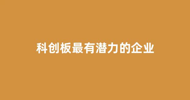 科创板最有潜力的企业(科创板最有价值的公司)_https://www.luoxuangg888.com_上交所_第1张
