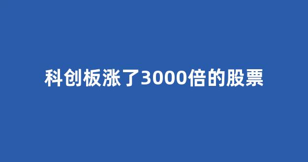 科创板涨了3000倍的股票(科创板涨幅1000%)_https://www.brunchezvous.com_自由行_第1张
