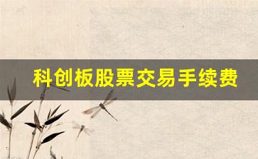 科创板股票交易手续费是多少(应当使用)_https://www.brunchezvous.com_自由行_第1张