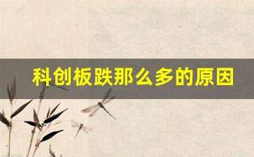 科创板跌那么多的原因(科创板为何连续下跌)_https://www.heiljjianzu.com_上交所_第1张