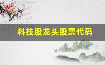 科技股龙头股票代码(科技股龙头股票代码是多少)_https://www.hhem8.com_创业板_第1张