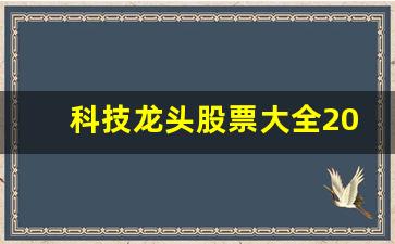 科技龙头股票大全2020(科技龙头股票大全2020年)_https://www.heiljjianzu.com_上交所_第1张