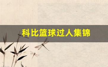 科比篮球过人技巧-科比篮球过人集锦