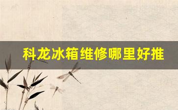 科龙冰箱维修服务电话-科龙冰箱维修哪里好推荐