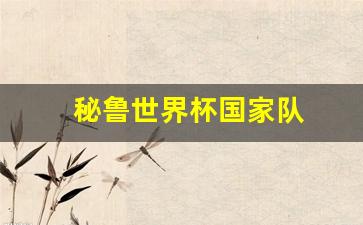 秘鲁世界杯国家队_秘鲁世界杯最好成绩