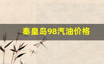 秦皇岛98汽油价格-秦皇岛92汽油多少钱一升