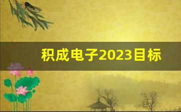 积成电子2023目标价知乎(积成电子 怎么样)_https://www.wanyuyiyao.com_深交所_第1张