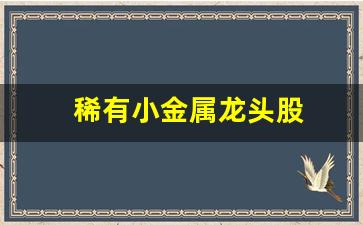 稀有小金属龙头股(小金属龙头股票)_https://www.huakunhengjia.com_金融资讯_第1张