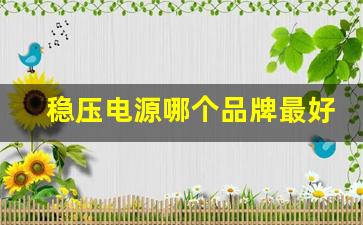 稳压电源哪个品牌最好(稳压电源哪个品牌最好用)_https://www.luoxuangg888.com_北交所_第1张