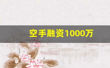 空手融资1000万(先融资后收费的公司有哪些)_https://www.heiljjianzu.com_上交所_第1张