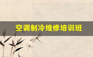 空调制冷维修培训班-空调维修技术培训学校