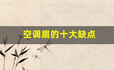 空调扇的利与弊-空调扇的十大缺点