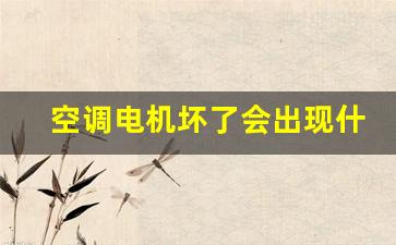 空调电机坏了会出现什么情况现象(空调电机坏了会怎么样)_https://www.taocizhiliang.com_装修公司_第1张