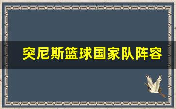 突尼斯篮球国家队阵容-突尼斯男篮大名单