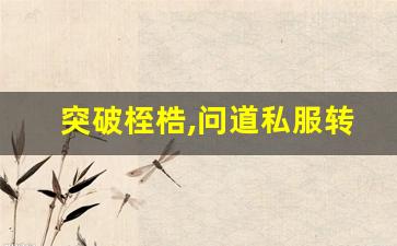 突破桎梏,问道私服转区查询助你一跃而上,成就传奇!(问道转服公告)