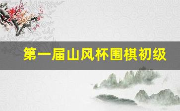 第一届山风杯围棋初级联赛获奖名单-第一届山风杯围棋初级联赛