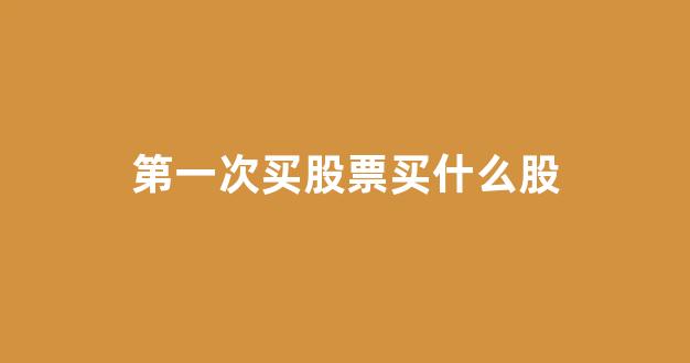 第一次买股票买什么股(股票首次买入注意点)_https://www.brunchezvous.com_自由行_第1张