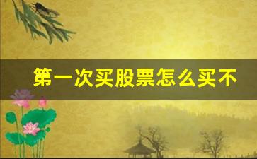 第一次买股票怎么买不了(买股票怎么买不进去)_https://www.shshucaipeisong.com_创业板_第1张